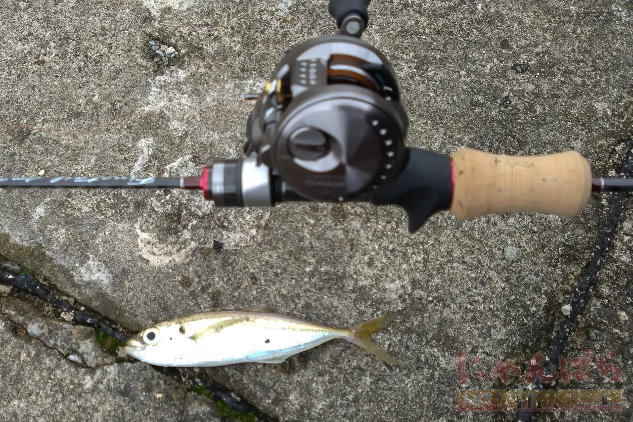 SHIMANO 23 カルカッタコンクエスト BFS